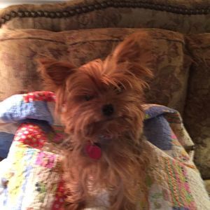 Meet your Posher, Frieda